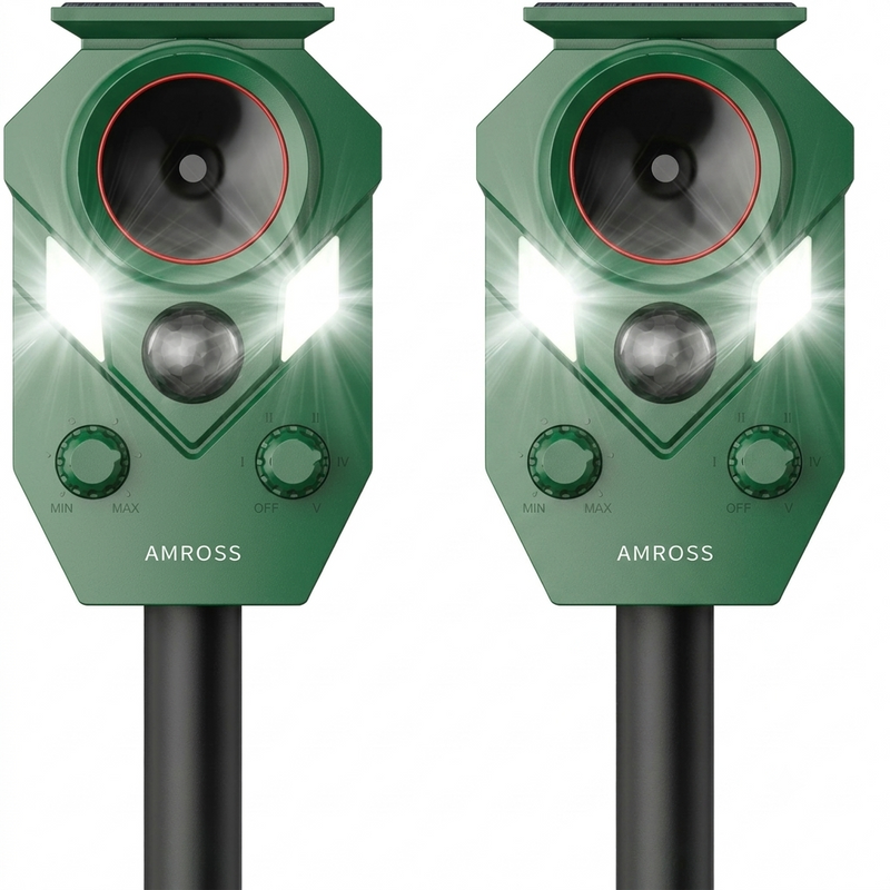 2 Pack